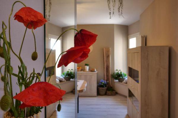 Apartmán Il Sogno Spello Exteriér fotografie